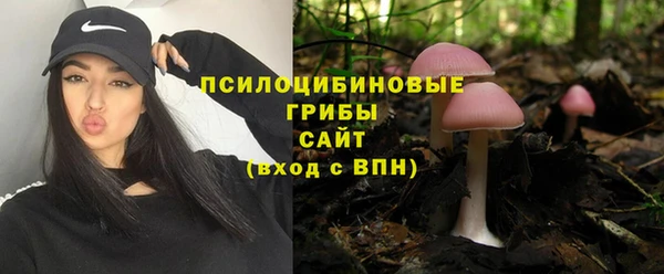 ешки Абаза